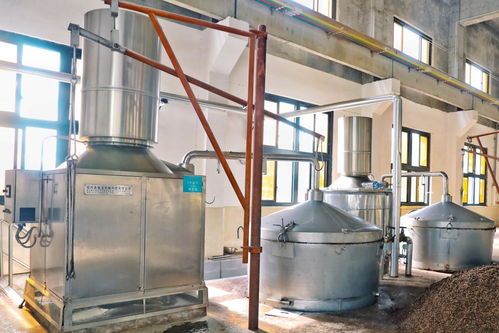 习酒 与赤水河紧密相依的生命共同体